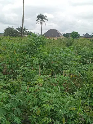 Residential Land, 1, 785.86 SQM — Chief (dr.) Ekenem Henry Nnamdi Street, Aniocha South, Delta