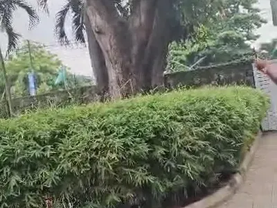 Prime 2, 000 SQM Commercial Land — Ikeja, Lagos