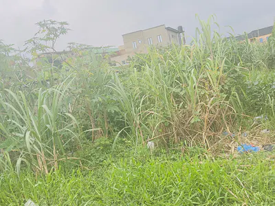 A 335 SQM of Land in a Secured Neighborhood — Magodo, Lagos