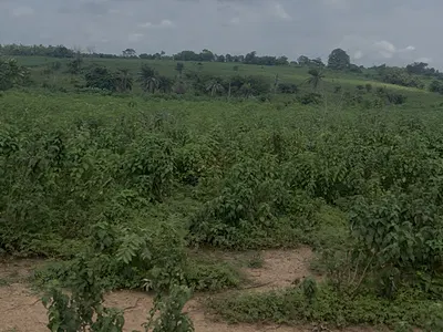 Roadside Residential Land in a Palm Resort Estate — Ogunmola, Moniya-Iseyin Road, Ibadan, Oyo