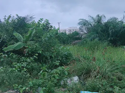 Unique Land in a Secured Estate — Lekki Foreshore Estate, Ikate Elegushi, Lekki, Lagos