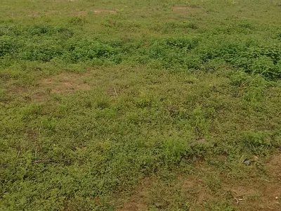 Affordable Premium Land — Ibeju Lekki, Lagos