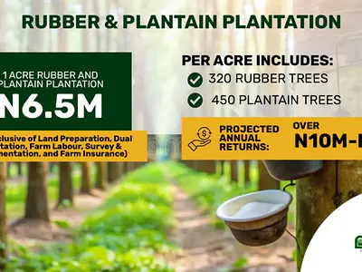 Farm Land with Oil Palm, Plantain and Rubber — Ijebu North East, Ogun