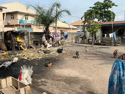 Corner Piece Fenced Dry Land Within a Livable Gated Estate — Ajah, Lagos