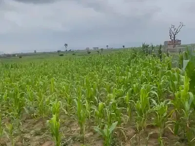 591 Hectares Industrial Land — Idu Industrial, Abuja