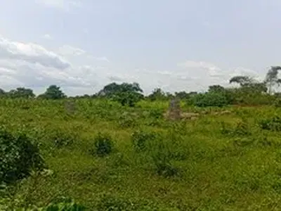 Industrial Land — Papalanto Sagamu Expressway, Ilaro, Yewa South, Ogun