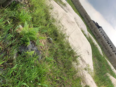 Residential Land in Built-Up Area — Bogije, Ibeju Lekki, Lagos