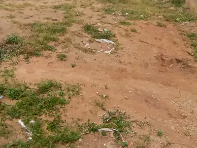 2778SQM Land — Awolowo Read, Ikoyi, Lagos