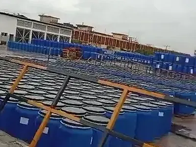 Industrial Agro Allied and Chemical Production Factory — Ikeja, Lagos