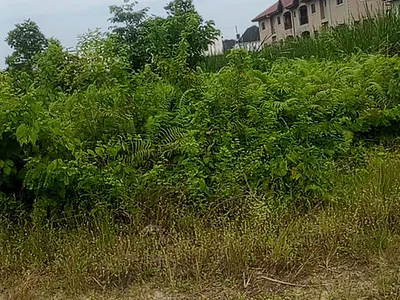 670 SQM Residential Land — Farm View Estate, Behind Sky Mall, Sangotedo, Ajah, Lagos