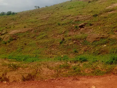 500SQM for 5 Bedroom Fully Detache with BQ — Gateway Estate Apo Wasa. Is Close to Trinity School and Mshel Estate, Apo, Abuja