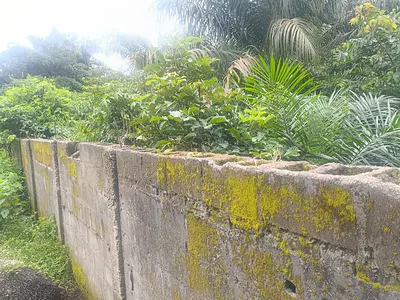Residential Premium Land Measuring 429SQM — Ajah, Lagos