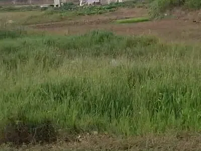 1 Hectare — Katampe, Katampe (Main), Katampe, Abuja