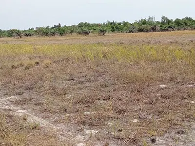 Verified and Affordable Land with Survey — Sun City Phase 1 Located at via La Campagne Tropicana, Ode Omi, Ibeju Lekki, Lagos
