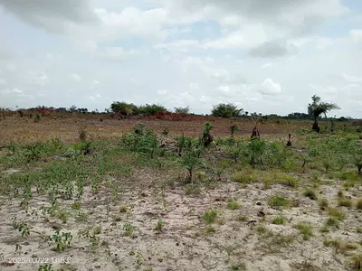 Geniune Land with Perimeter Fencing — Sun City Phase 1 Located at via La Campagne Tropicana, Ode Omi, Ibeju Lekki, Lagos
