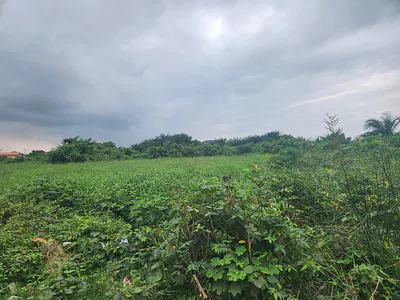 A Bare Land Measuring Approximately 450 Square Meters — Garden Estate, Owode Elede, Mile 12, Kosofe, Lagos