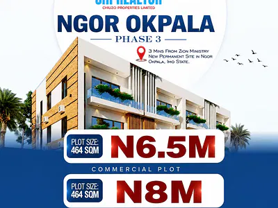 Land with Premium Infrastructure, Drainage & Free From Acquisition. — Ngor Okpala, Imo