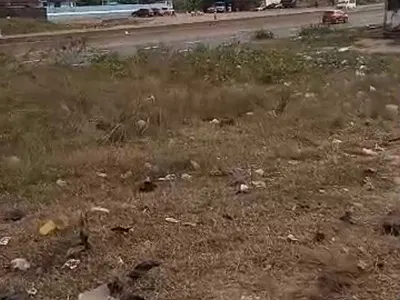 4 Acres of Land with C of O Opposite Redemption Camp — Directly Opposite Redemption Camp Along Lagos-Ibadan Expressway, KM 46, Ogun