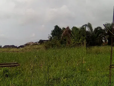 Affordable Land Property — Ibeju Lekki, Lagos