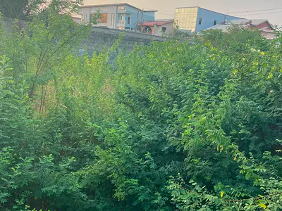 Prime Waterfront Residential Land — Ikoyi, Lagos