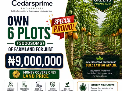 6 Plots of Farmland with Pawpaw Farm — Omo, Epe, Lagos