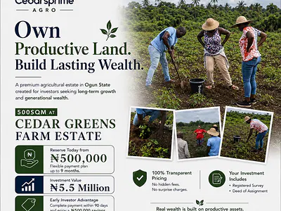500SQM of Pawpaw Farm Land with 12 Months Payment Plan — Omu, Epe, Lagos
