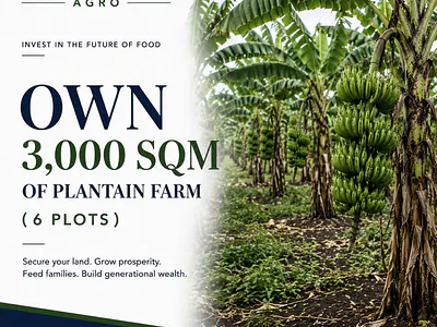 Plantains Farm Land — Imu Epe, Epe, Lagos