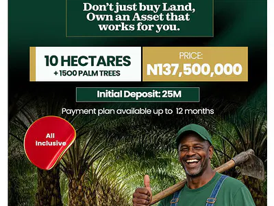 1 Acre of Palm Farm Land — Imala Anigbado, Abeokuta North, Ogun