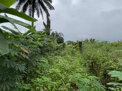 A Parcel of Dry Land — Aka Nung Uduh, Uyo, Akwa Ibom