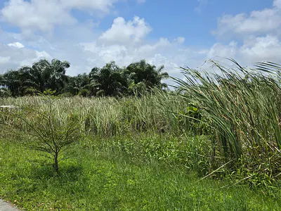 800SQM of Premium Residential Land — Lekki, Lagos