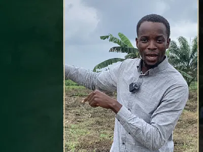 1 Hectare Residential Land — Ikorodu Road Expressway, Ijebu Ode, Ogun