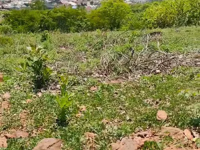 Land — Apo, Abuja