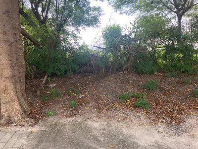 Residential Land — Banana Island, Ikoyi, Lagos