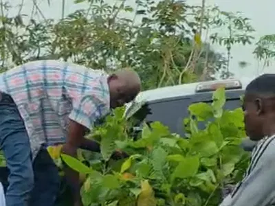 Agricultural Farmland for Long-Term Investment — Off Lagos Ibadan Express Way, Owode, Obafemi Owode, Ogun