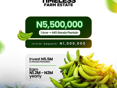 Agricultural Farmland for Long-Term Investment — Obafemi Owode, Ogun