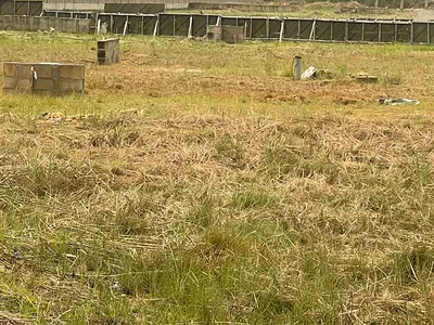 300SQM Residential Land — Chevron, Lekki Phase 2, Lekki, Lagos
