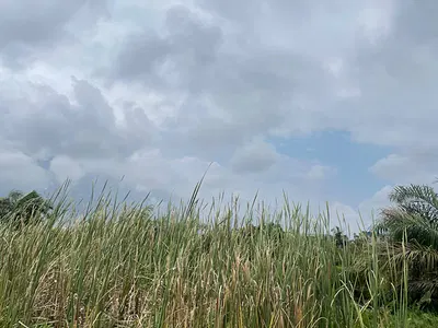 A Land Measuring 540SQM in a Well Secured Estate — Sangotedo Ajah Eti Osa, Lekki, Lagos
