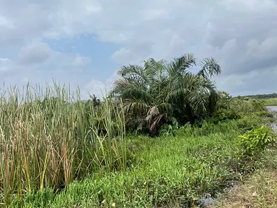 Plot of Land Measuring 800SQM in a Secured Estate Land — Sangotedo, Ajah Lagos, Lekki, Lagos
