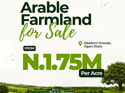 Farm Land in Large Scale — Owode, Obafemi Owode, Ogun