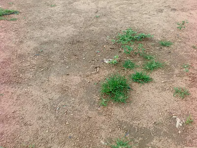 13 Hectares Residential Land — Karsana West, Karsana, Abuja