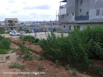 DPC for 5-Bedrooms Detached Duplex — Asokoro District, Abuja