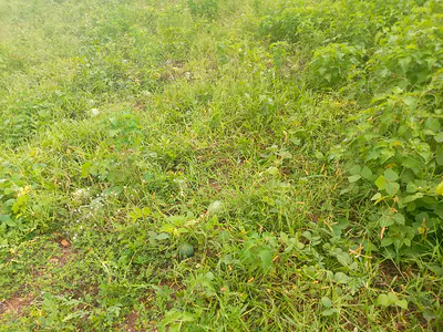 Mixed-Use Land — Mabushi, Abuja