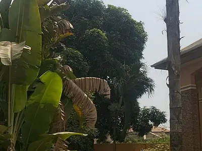 Big 4 Bedroom Duplex House Sitting on a Little Above 2 Plots — Lekki, Lagos