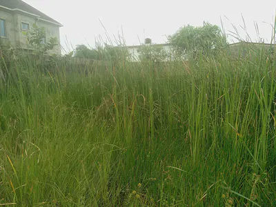 Residential Land — Behind Sunshine Garden Estate, Sangotedo, Ajah, Lagos