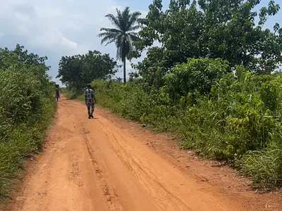 Prime Land for Sale -- Ibogun, Ogun State — Ibogun Ifo Area of Ogun State, Ifo, Ogun
