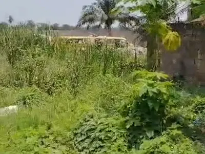 A Well Located Massive Piece of Land — Western Avenue, Surulere, Lagos