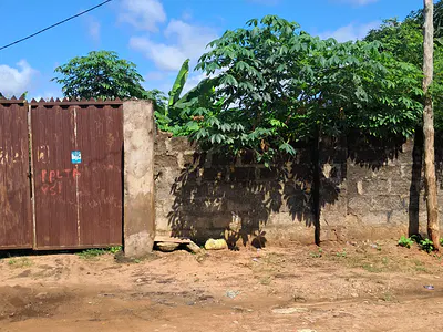 Deed and Survey — Bonsaac Axis, Asaba, Delta