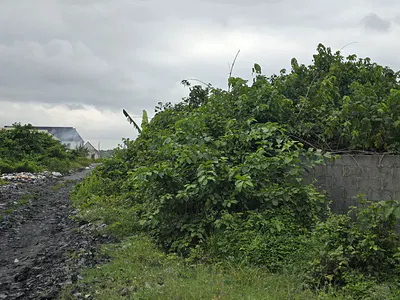 30 Plots of Corner Piece Dryland — Abijo, Lekki, Lagos
