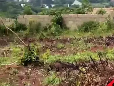 Land — Crown Estate, Ibusa Bypass Road, Asaba, Delta