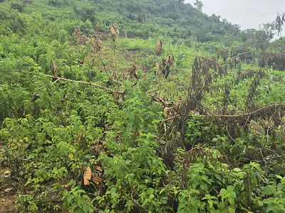 Residential Land Plot — Hilltop Estate, Dawaki, Gwarinpa, Abuja